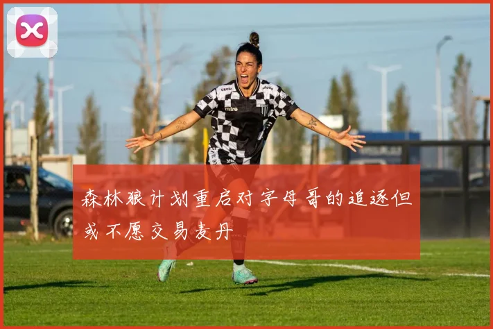 森林狼计划重启对字母哥的追逐但或不愿交易麦丹