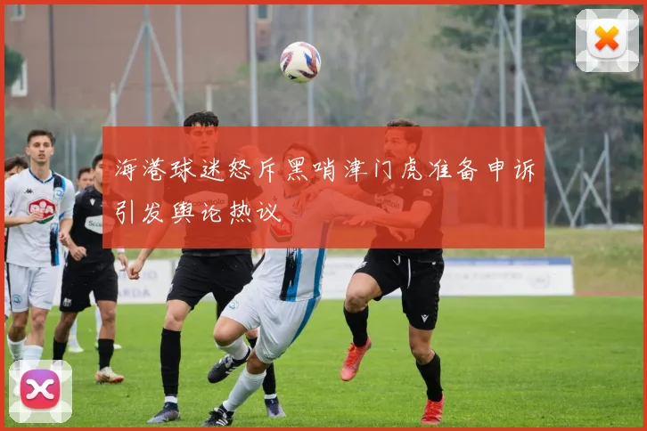 海港球迷怒斥黑哨津门虎准备申诉引发舆论热议