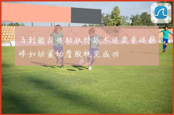 马刺能否借助独特战术逆袭重返巅峰如幼鲨幼詹般蜕变成功
